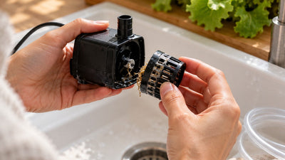 Pompe du potager hydroponique en panne : que vérifier ?