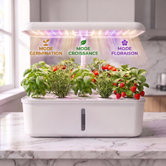 Verdia One