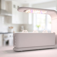 Verdia Mini blanc — vue 2