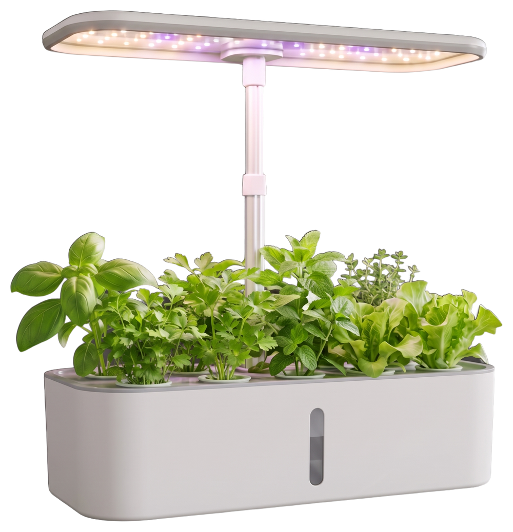 Verdia One