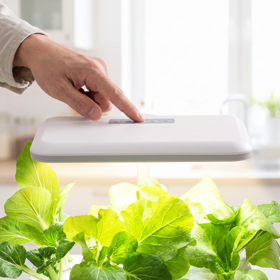 Verdia One étape 2 : éclairage horticole LED allumé pour la croissance des plantes