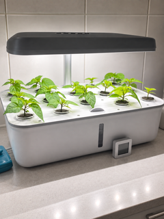 Photo client Verdia One, potager hydroponique d'intérieur en situation réelle