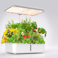 Verdia One - vue studio