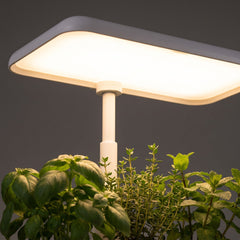 Verdia One - lumière LED et herbes